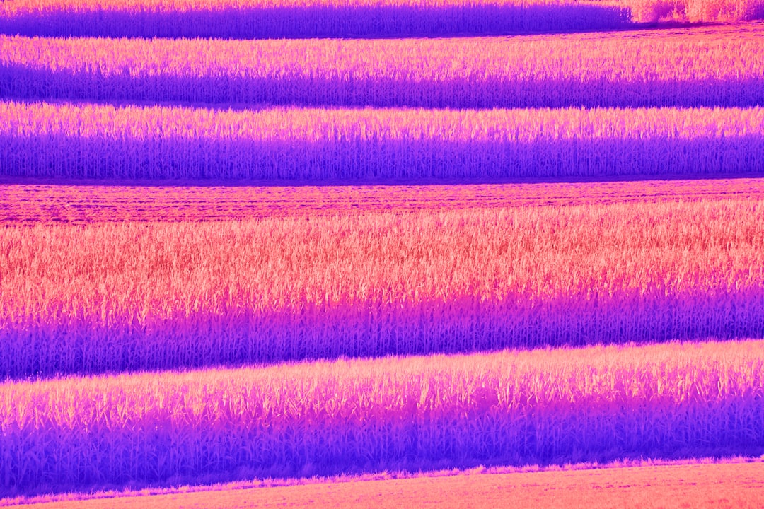 GPT Quantization News: How Advanced Compression is Democratizing AI