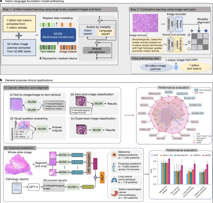 GPT vision oncology - A vision–language foundation model for precision oncology | Nature