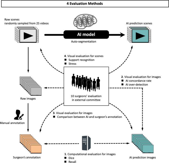 AI model evaluation visualization - AI-based visualization of loose connective tissue as a dissectable ...
