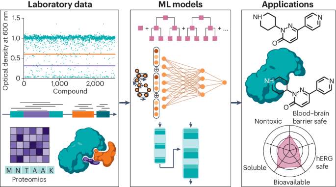 AI drug discovery molecular modeling - Enzyme Inhibitors & Molecular Modeling in Drug Discovery - BOC ...